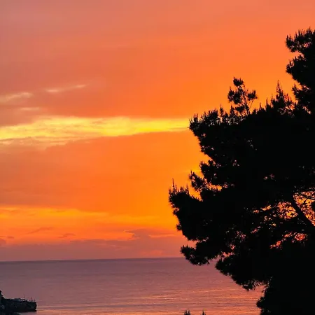 شقة Conte Cavour *