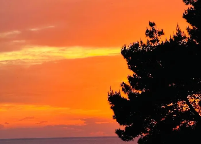 Apartment Conte Cavour *